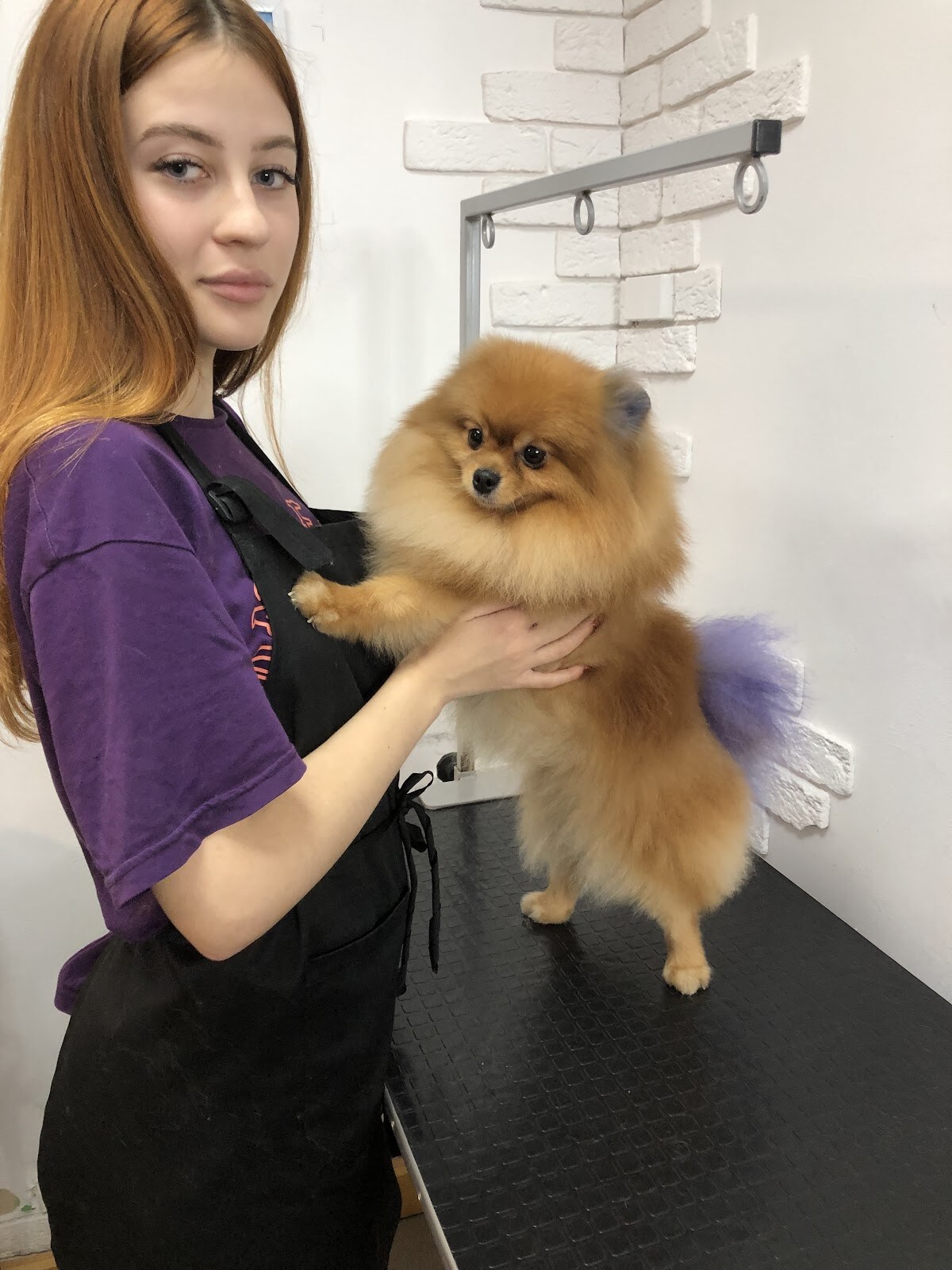 Курсы груминга All-Grooming - обучение стрижке собак, котов и кошек