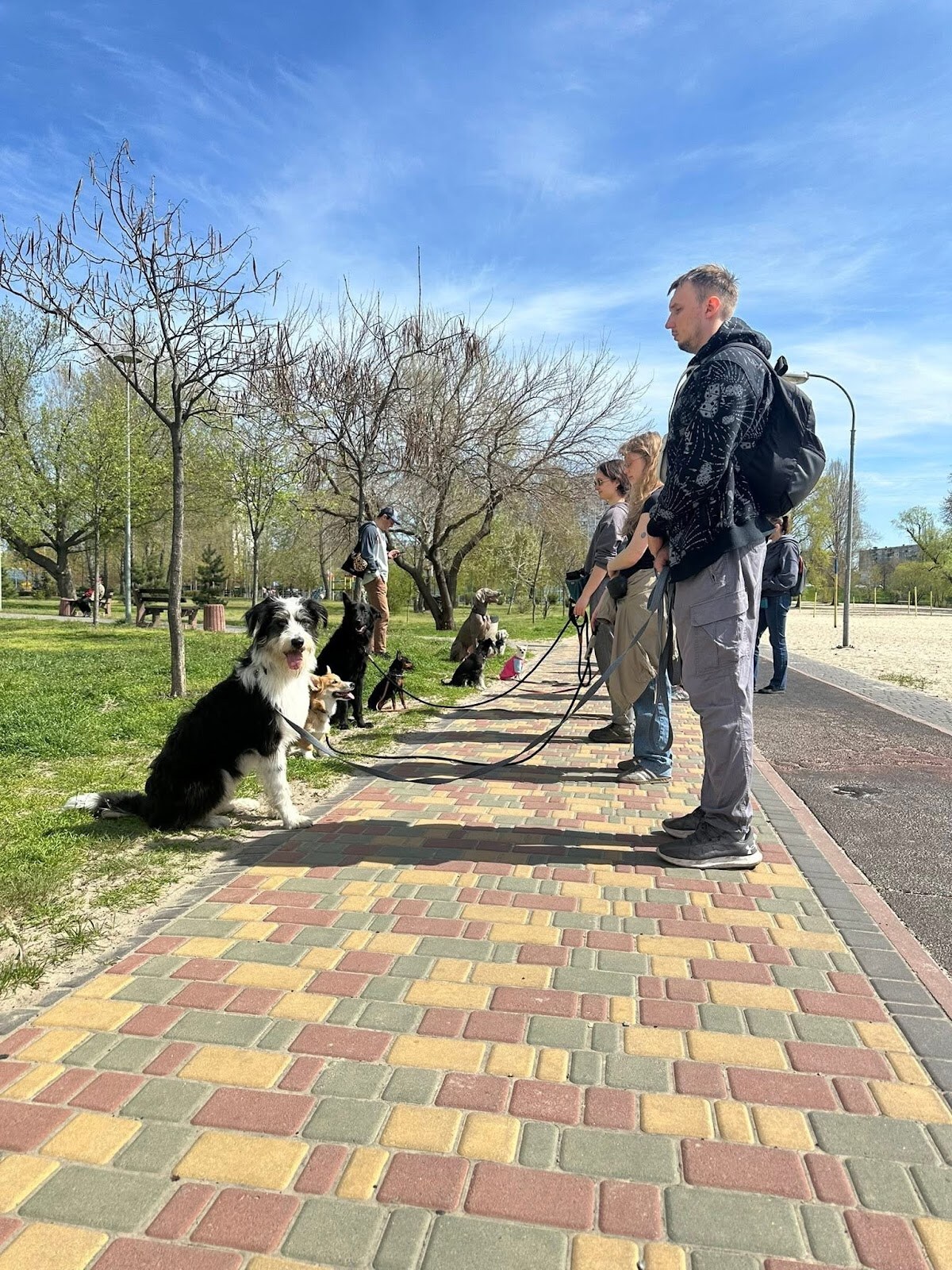 Дресирування собак MaliGuards Club K9