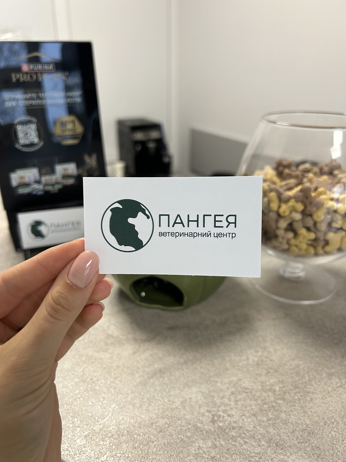Ветеринарний центр Пангея