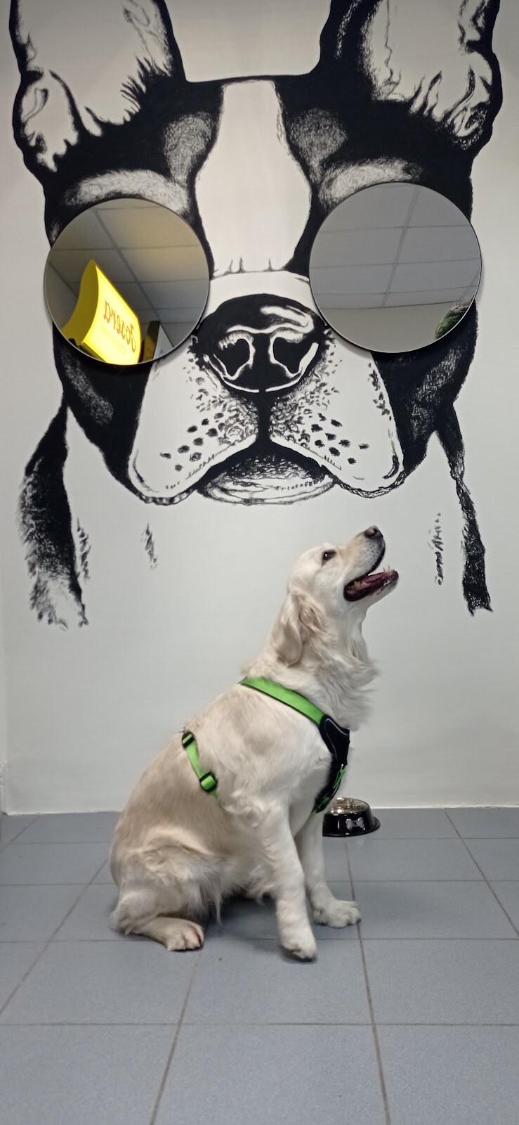 Pom Mom Pet Store