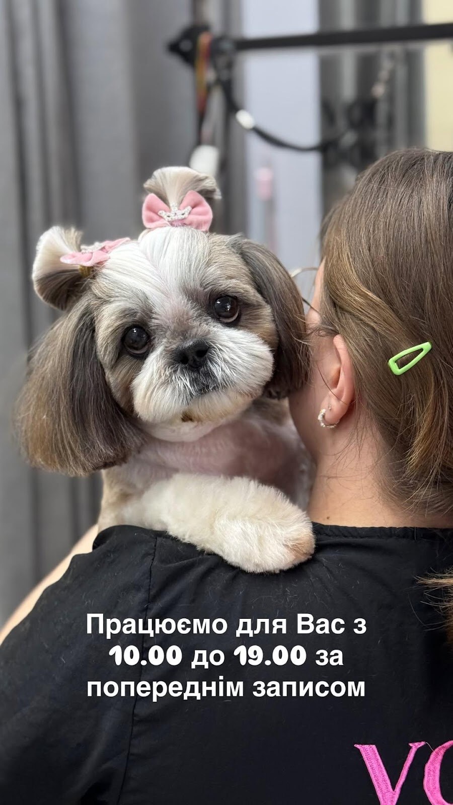 V.O.G DOG SALON