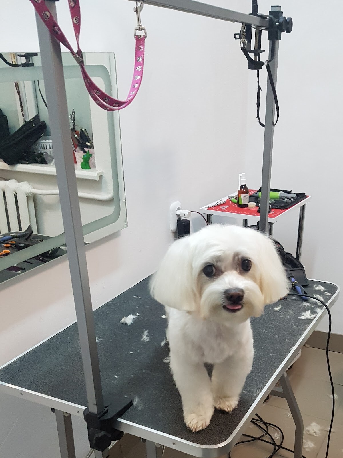 Ветеринарна клініка Mr.Vet