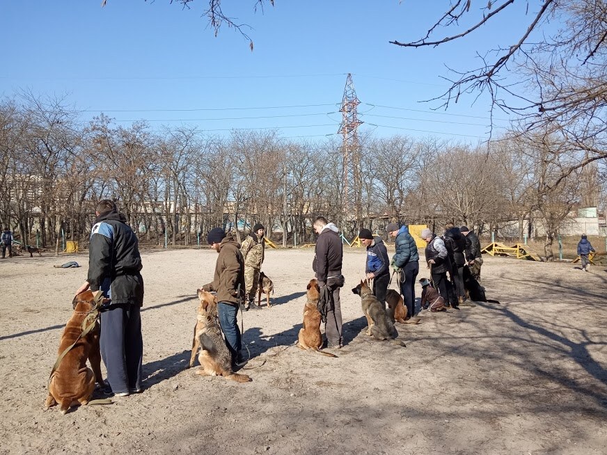 Школа служебного собаководства «Международной полицейской корпорации гражданской безопасности»