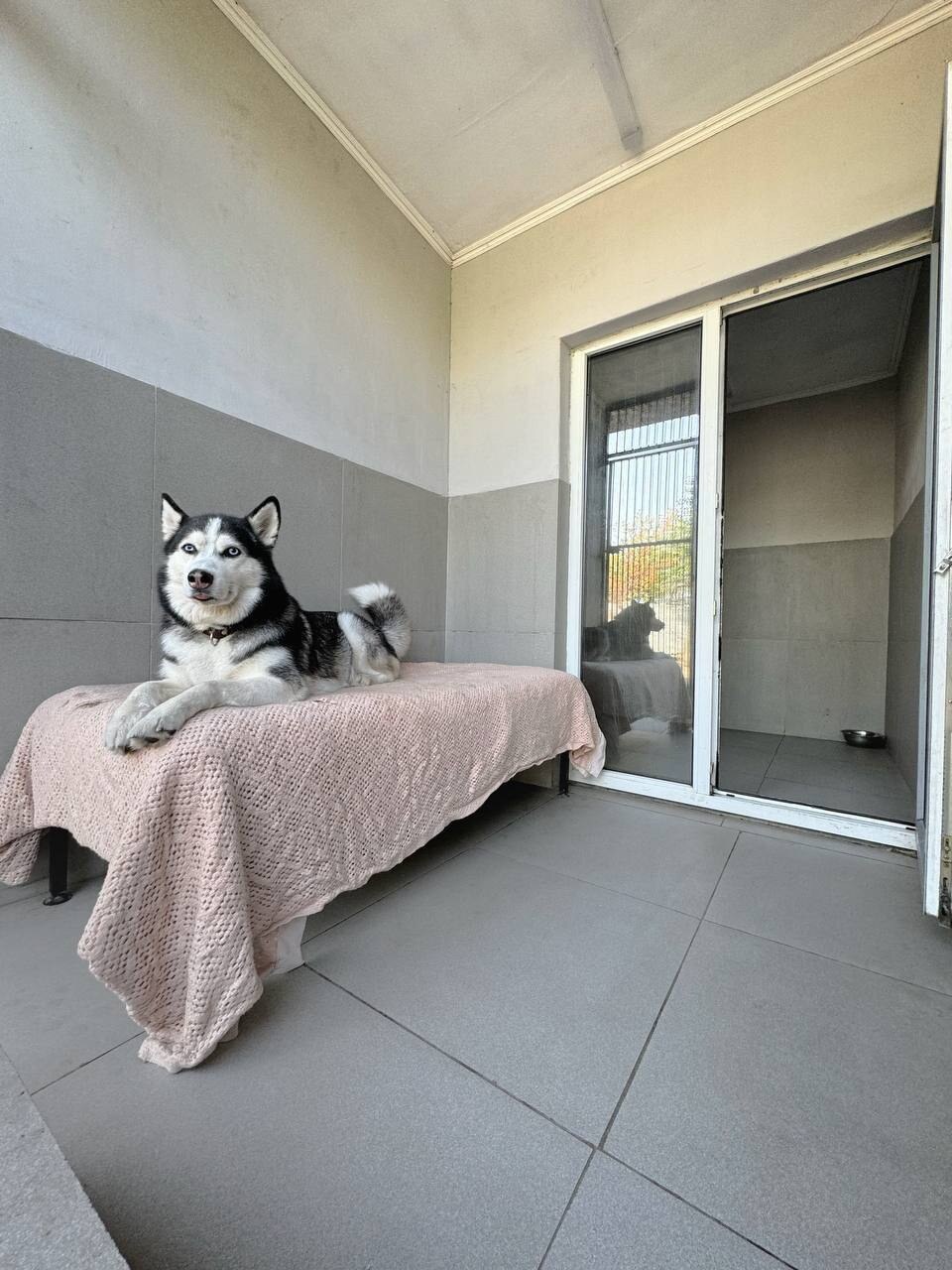 Zoohotel