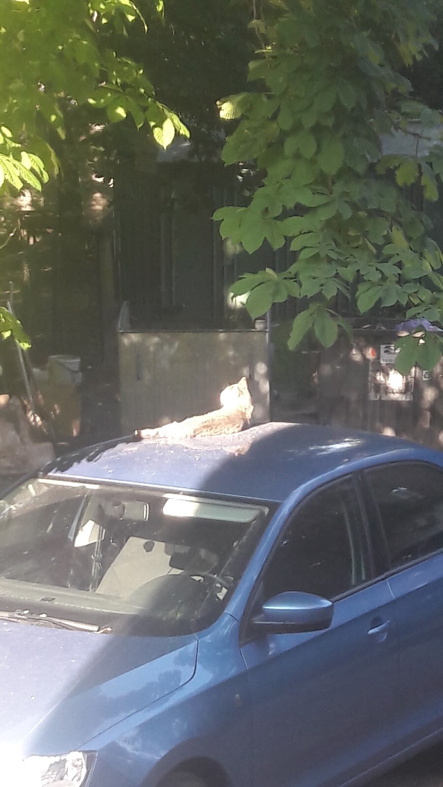 ЗООМАГАЗИН