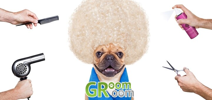 Зоосалон GroomRoom