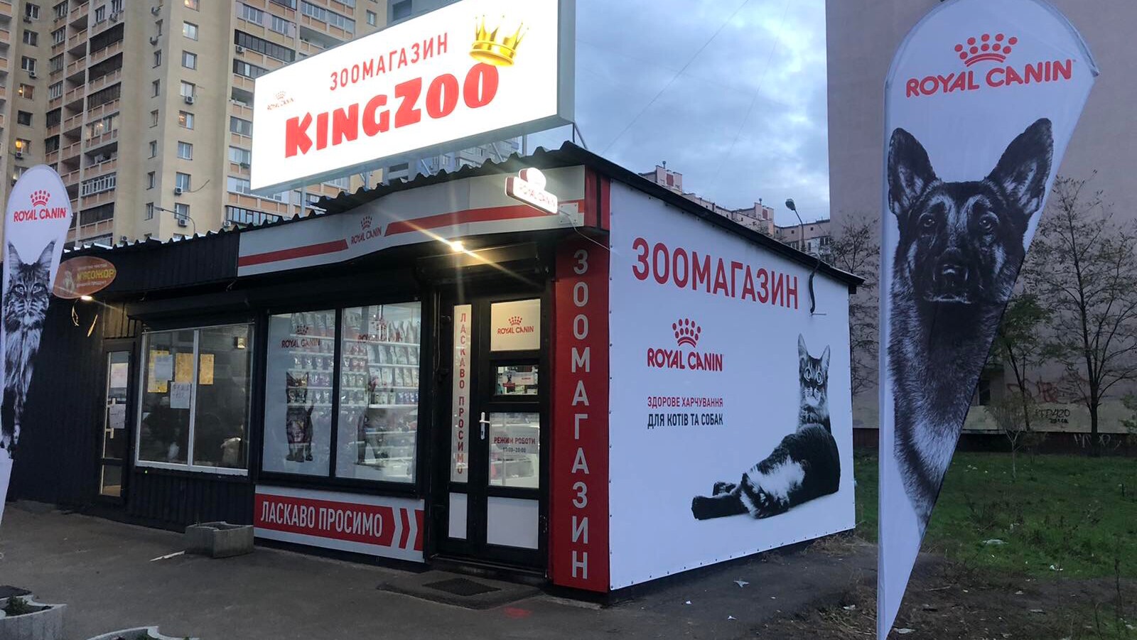 Зоомагазин «Kingzoo»