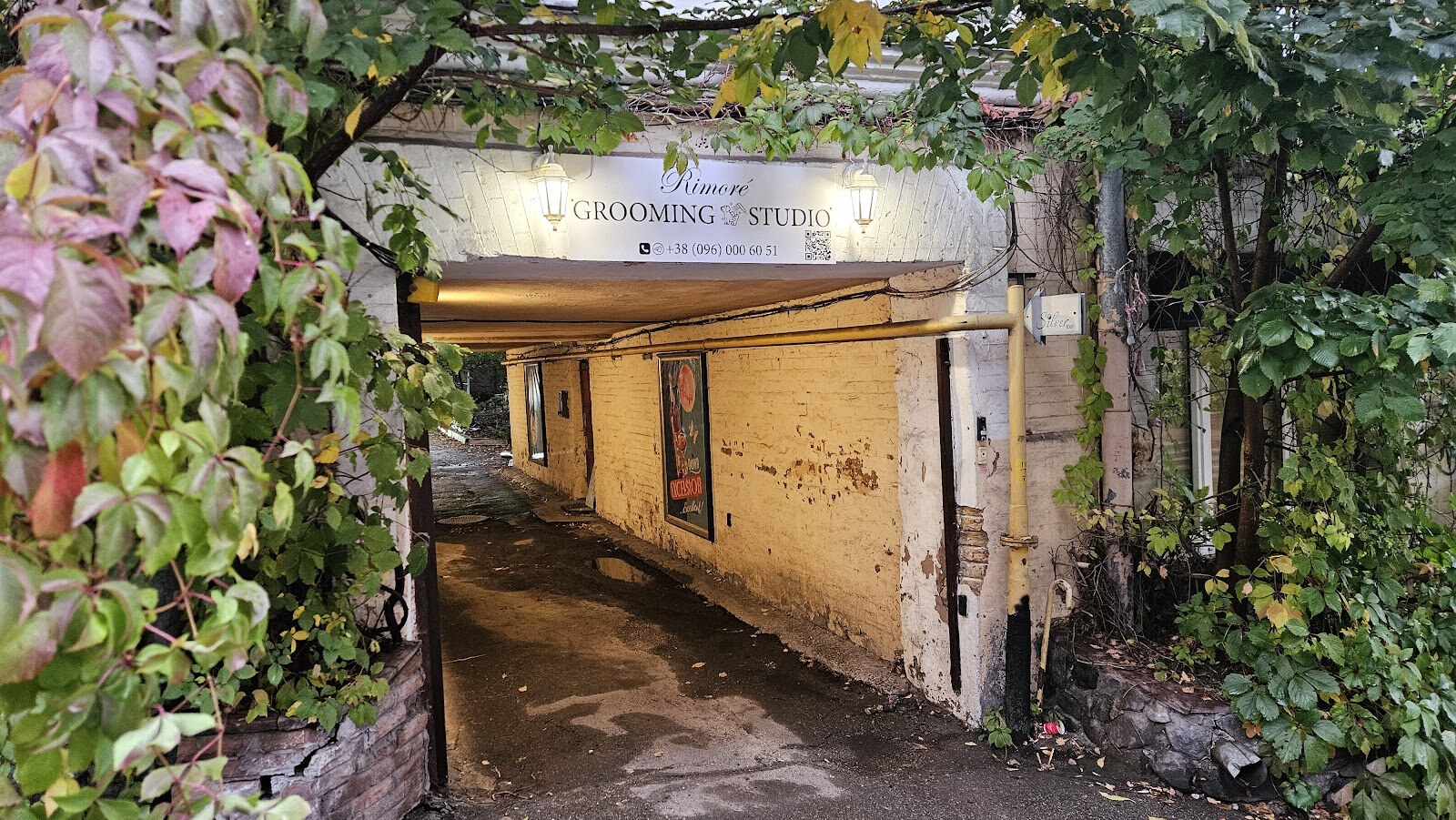 Rimoré Grooming Studio