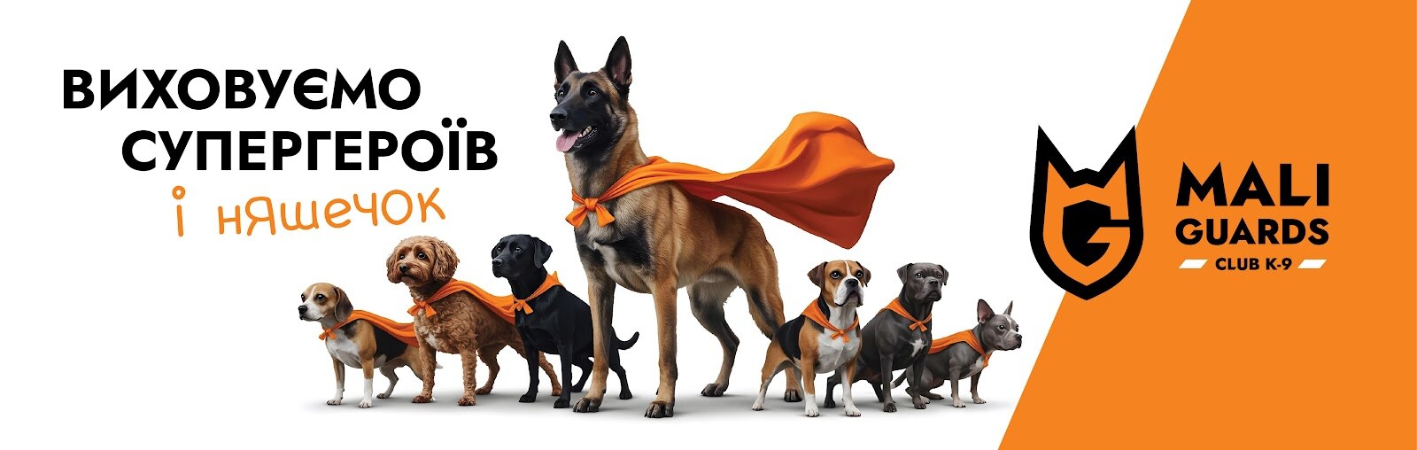 Дресирування собак MaliGuards Club K9