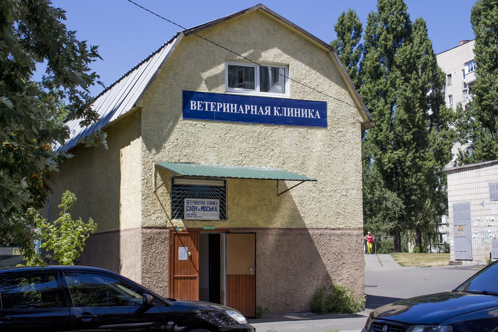 Слон і Моська