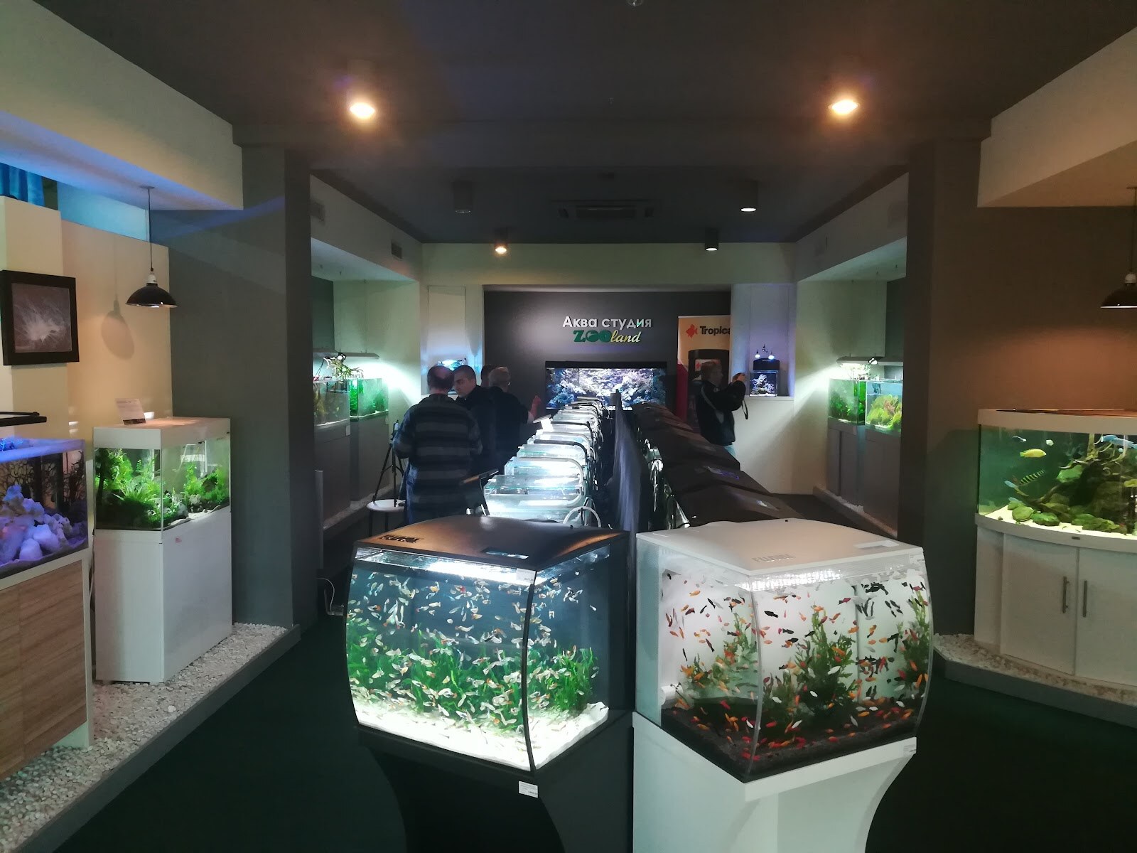 Зоомаркет MasterZoo