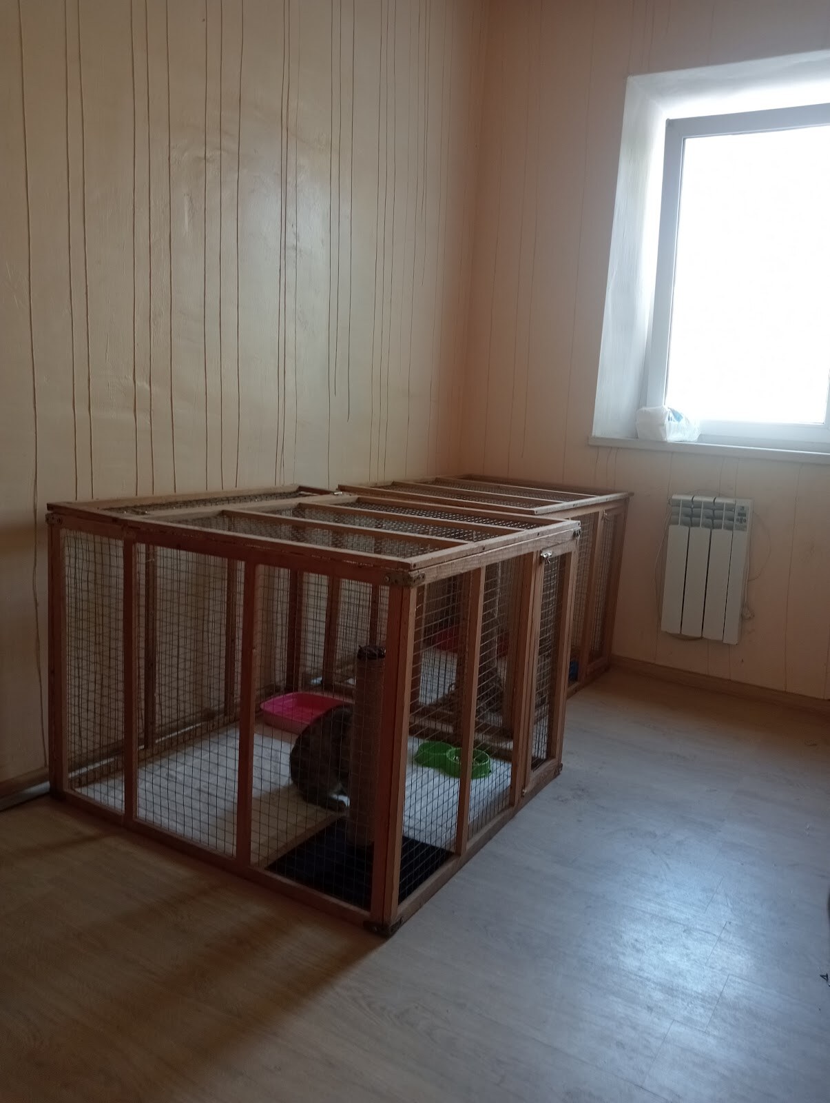 AnimalsHotel