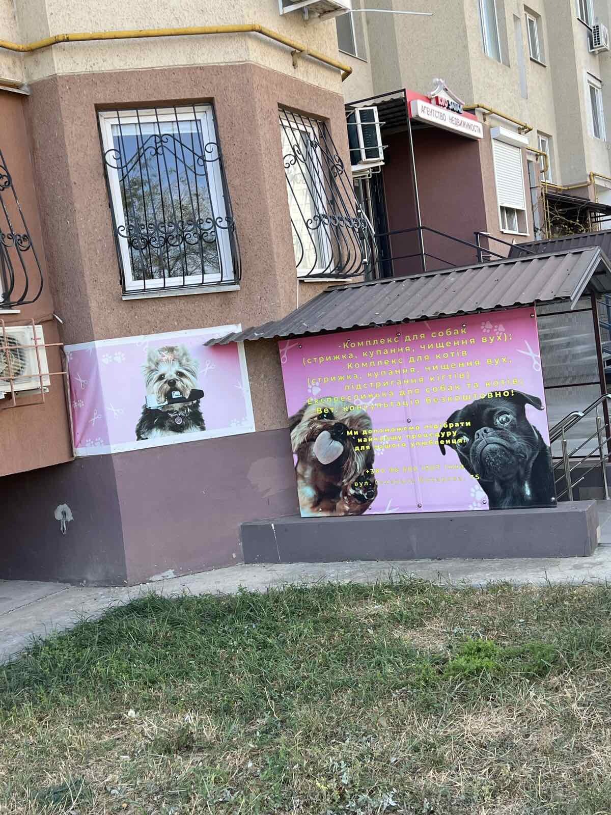 Зоосалон «Сьюзи»