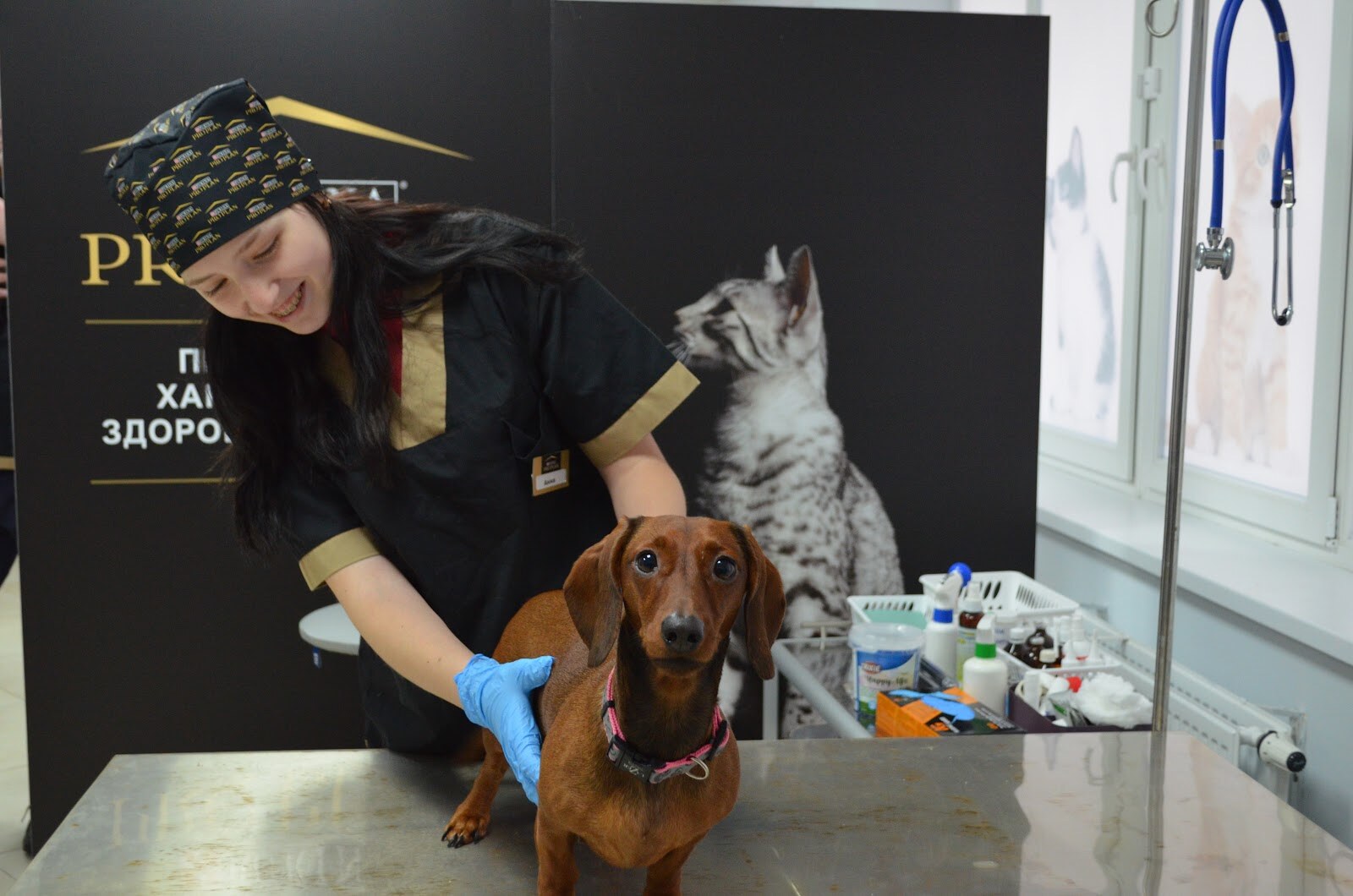 Ветеринарна клініка Vet Center