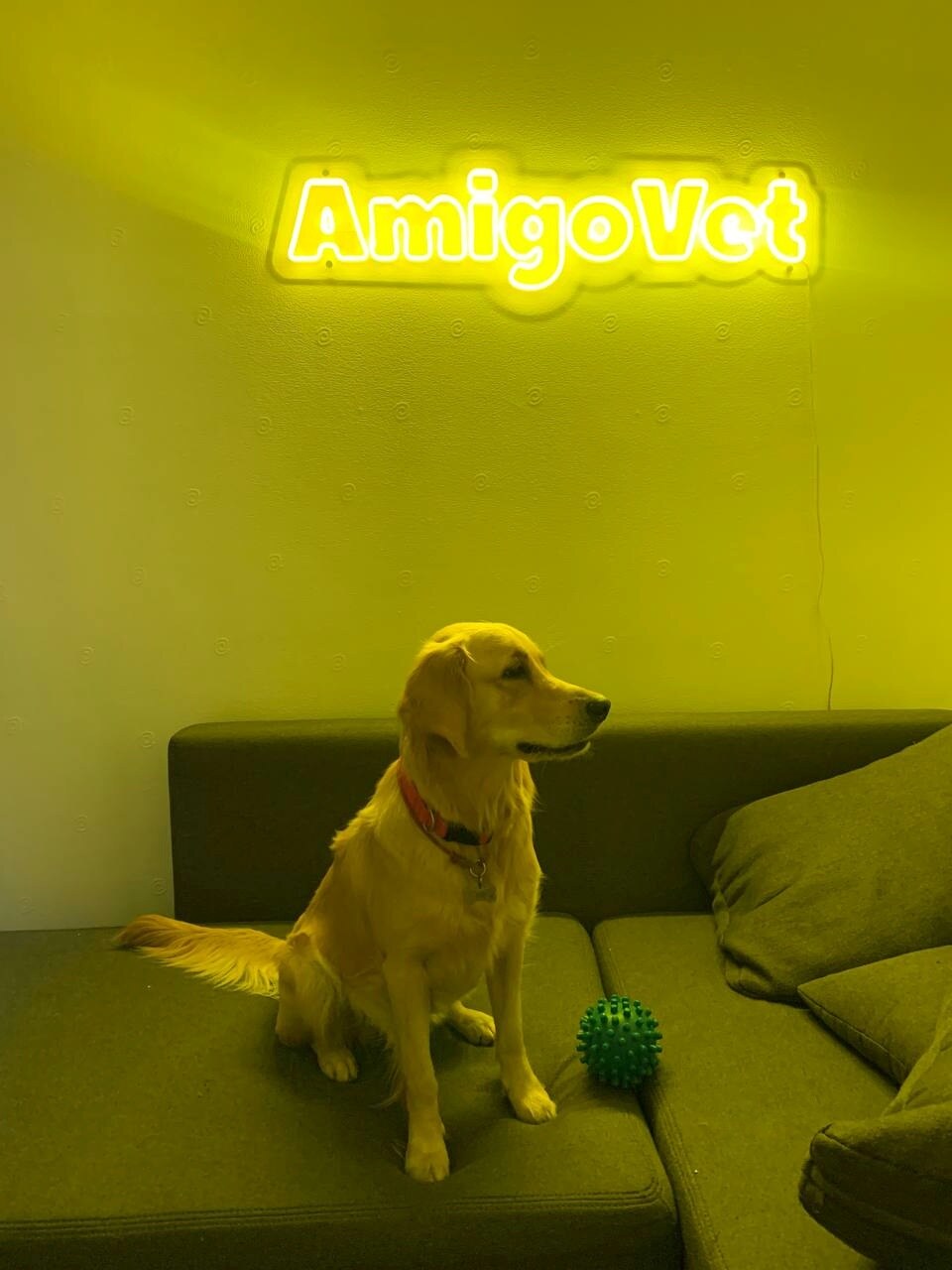 Інтернет-магазин AmigoVet