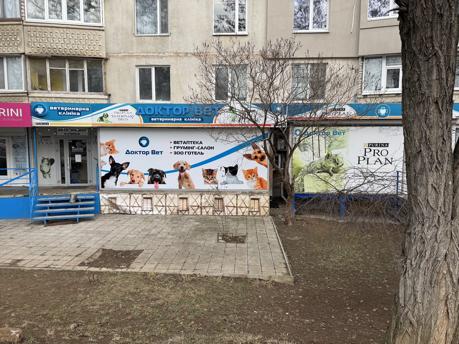 Доктор Вет