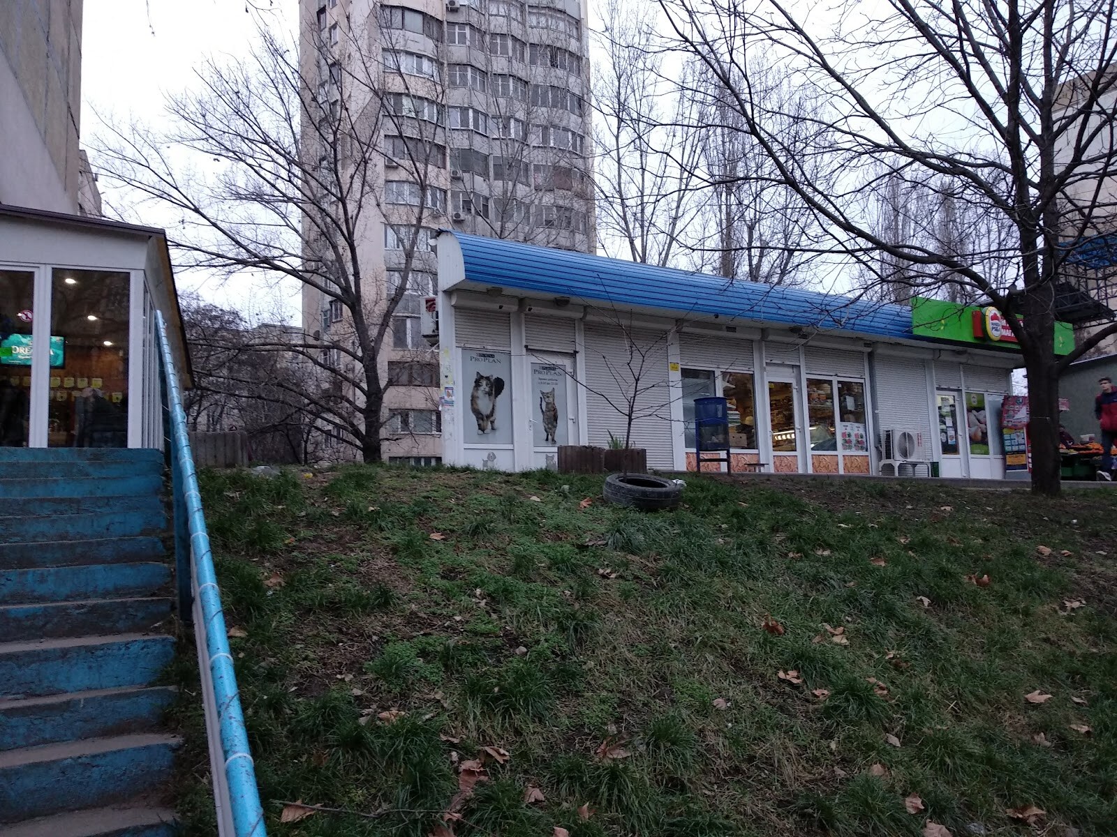 Зоомир