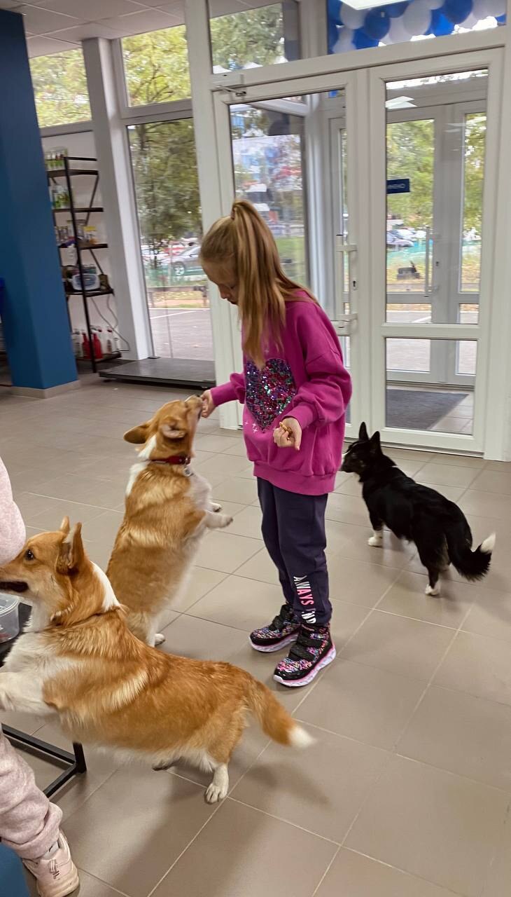 Ветеринарна клініка Pet Wealth Зоомагазин