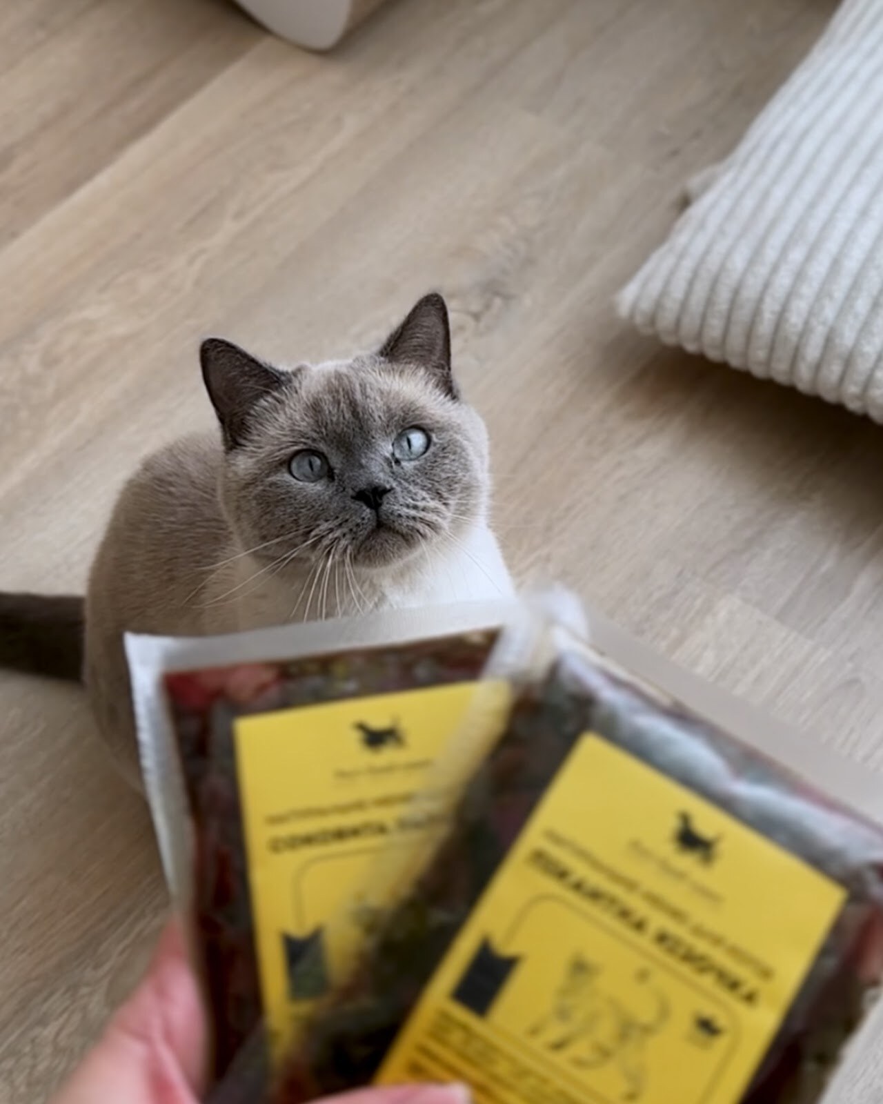 Pet's food-court - натуральне харчування для собак та котів на замовлення