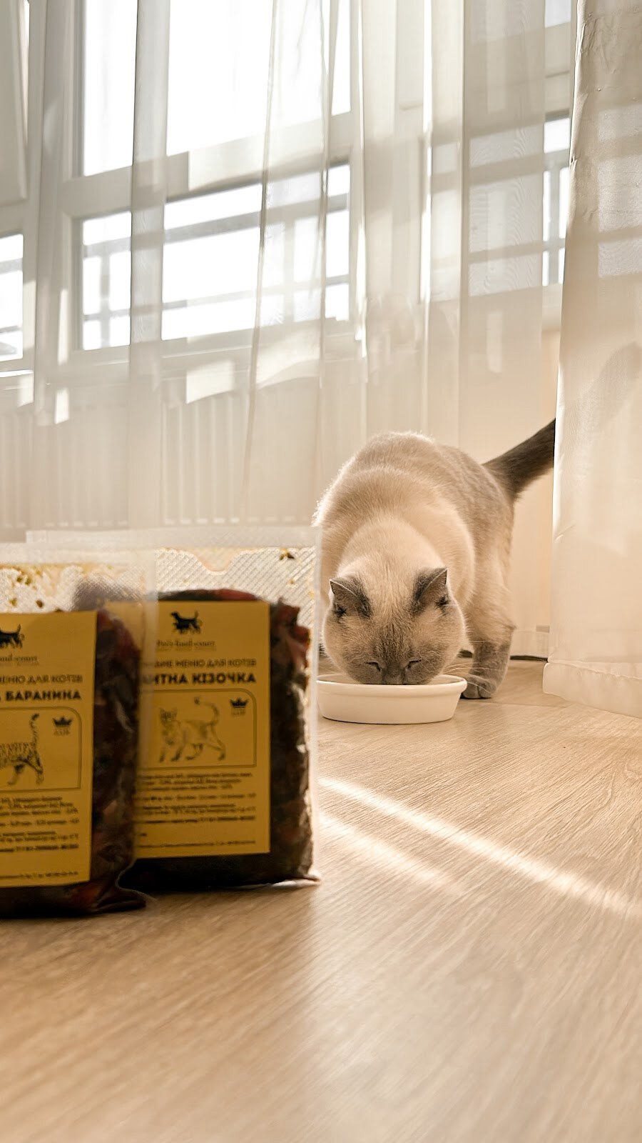 Pet's food-court - натуральне харчування для собак та котів на замовлення