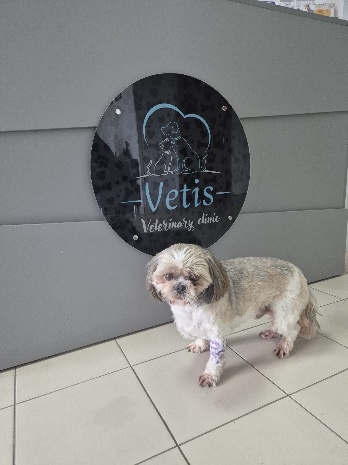 Ветеринарна клініка Vetis