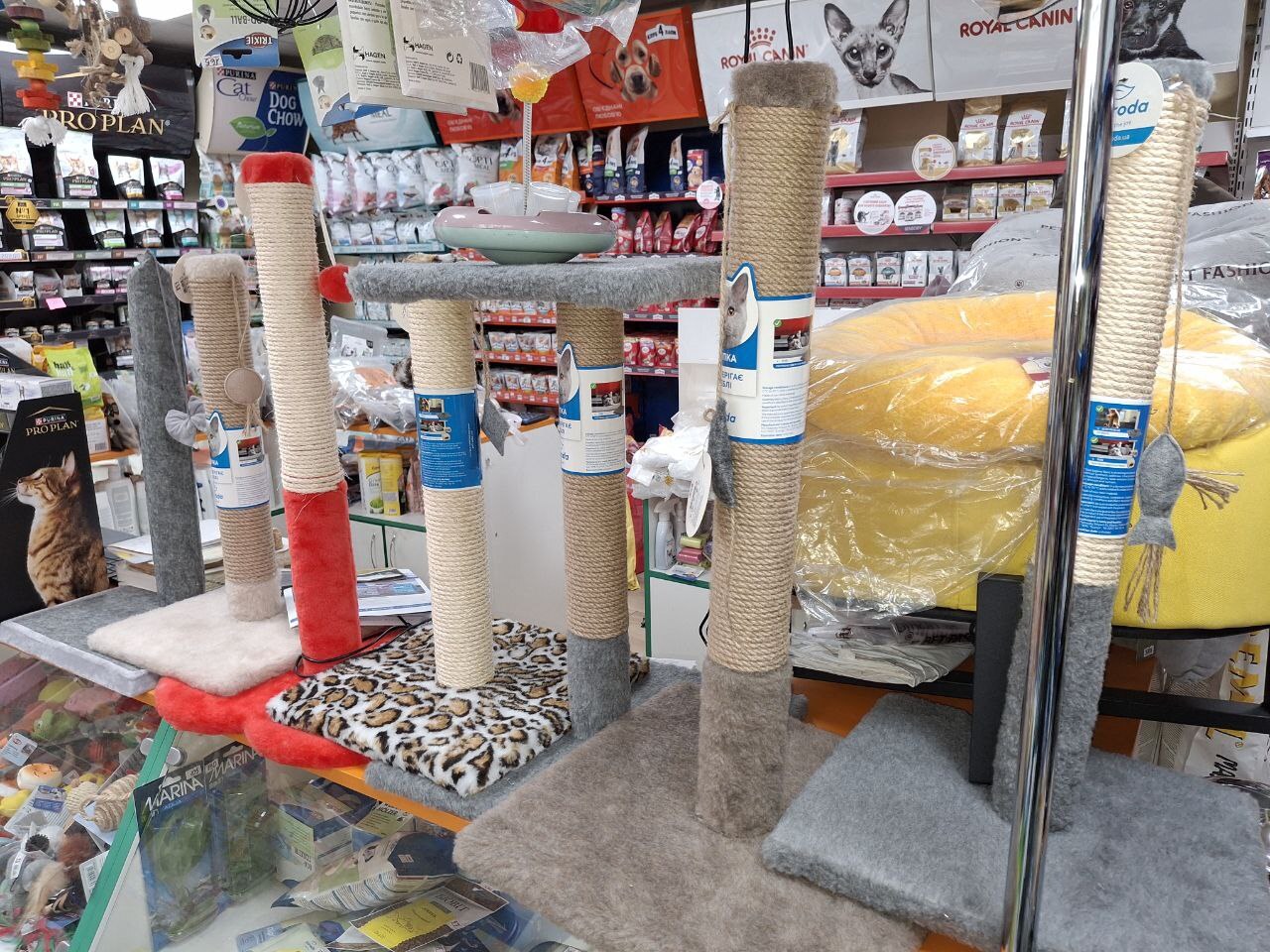 Зоомагазин