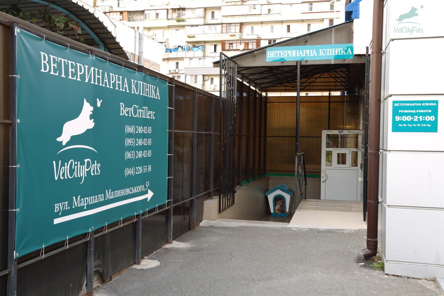 Ветеринарная клиника VetCityPets