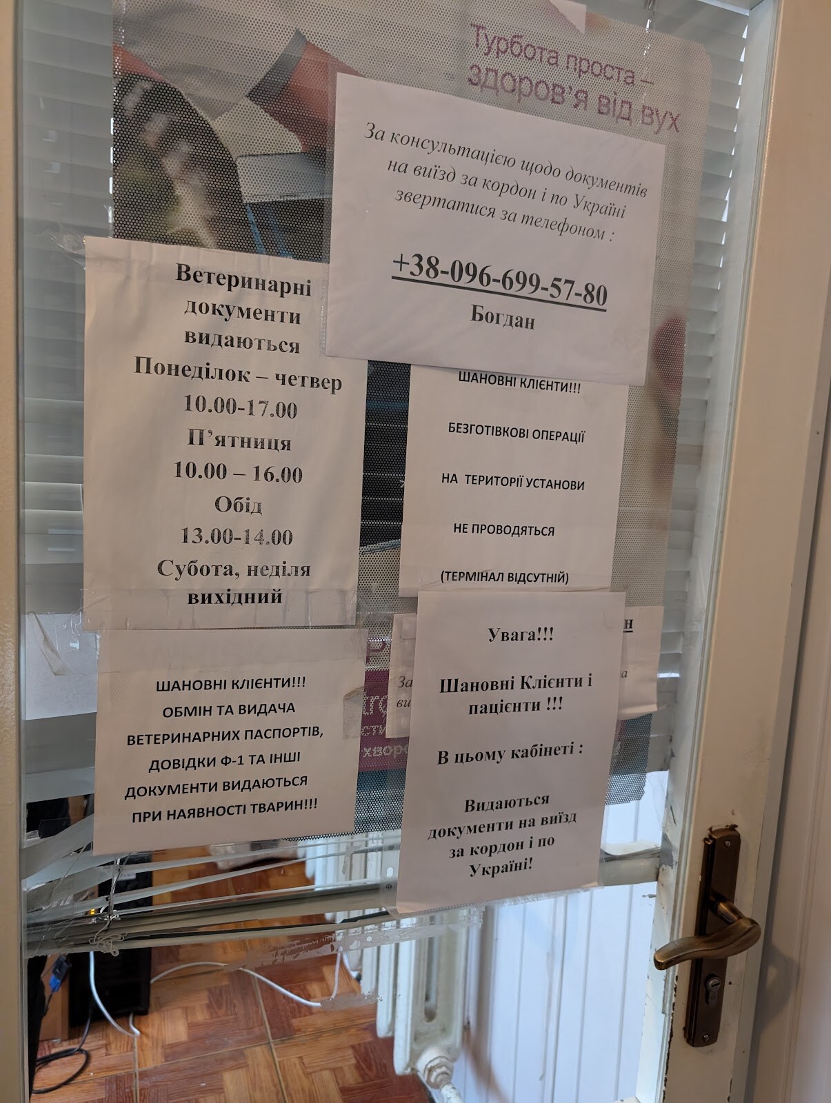 Львівська міська державна лікарня ветеринарної медицини
