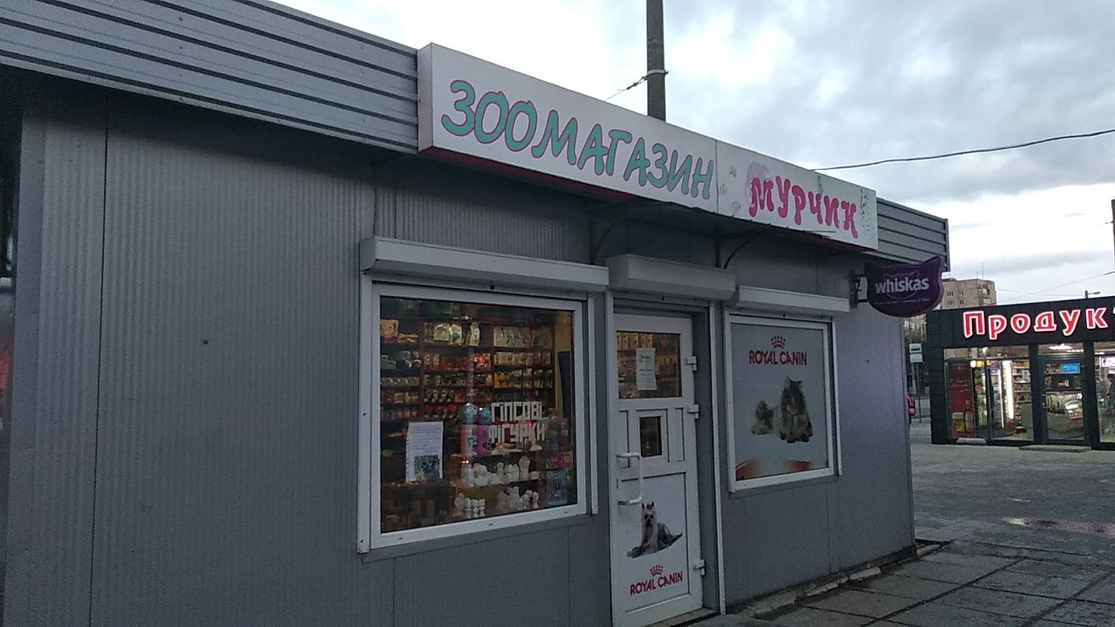 «Мурчик»