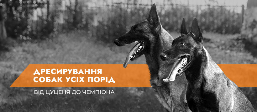 MaliGuards Club K9