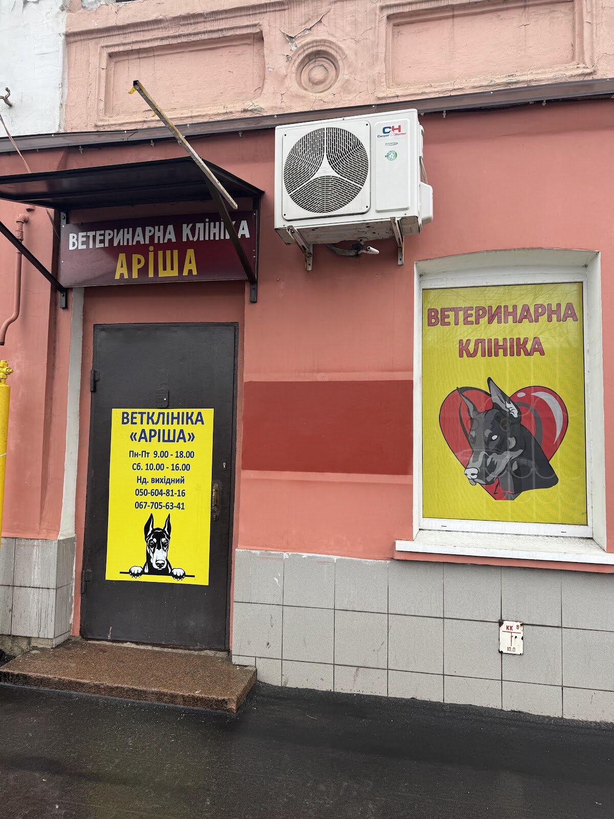 Аріша
