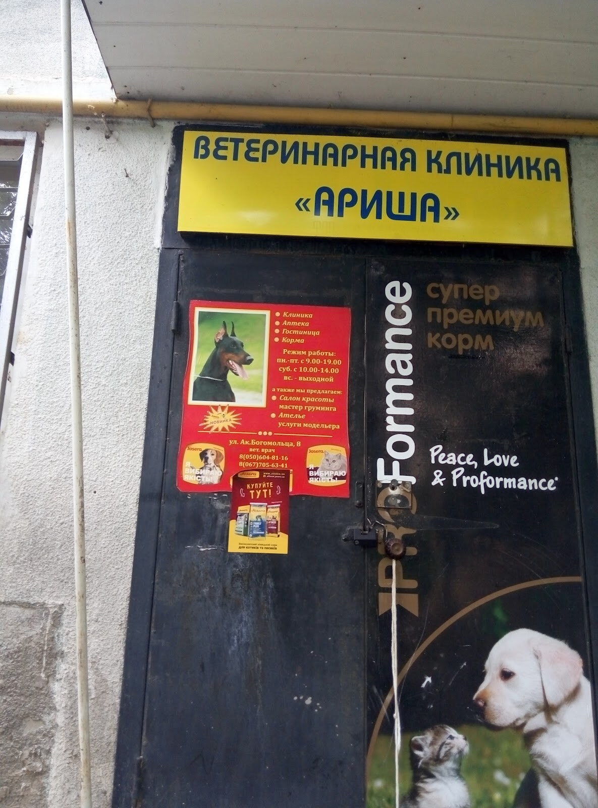 Аріша
