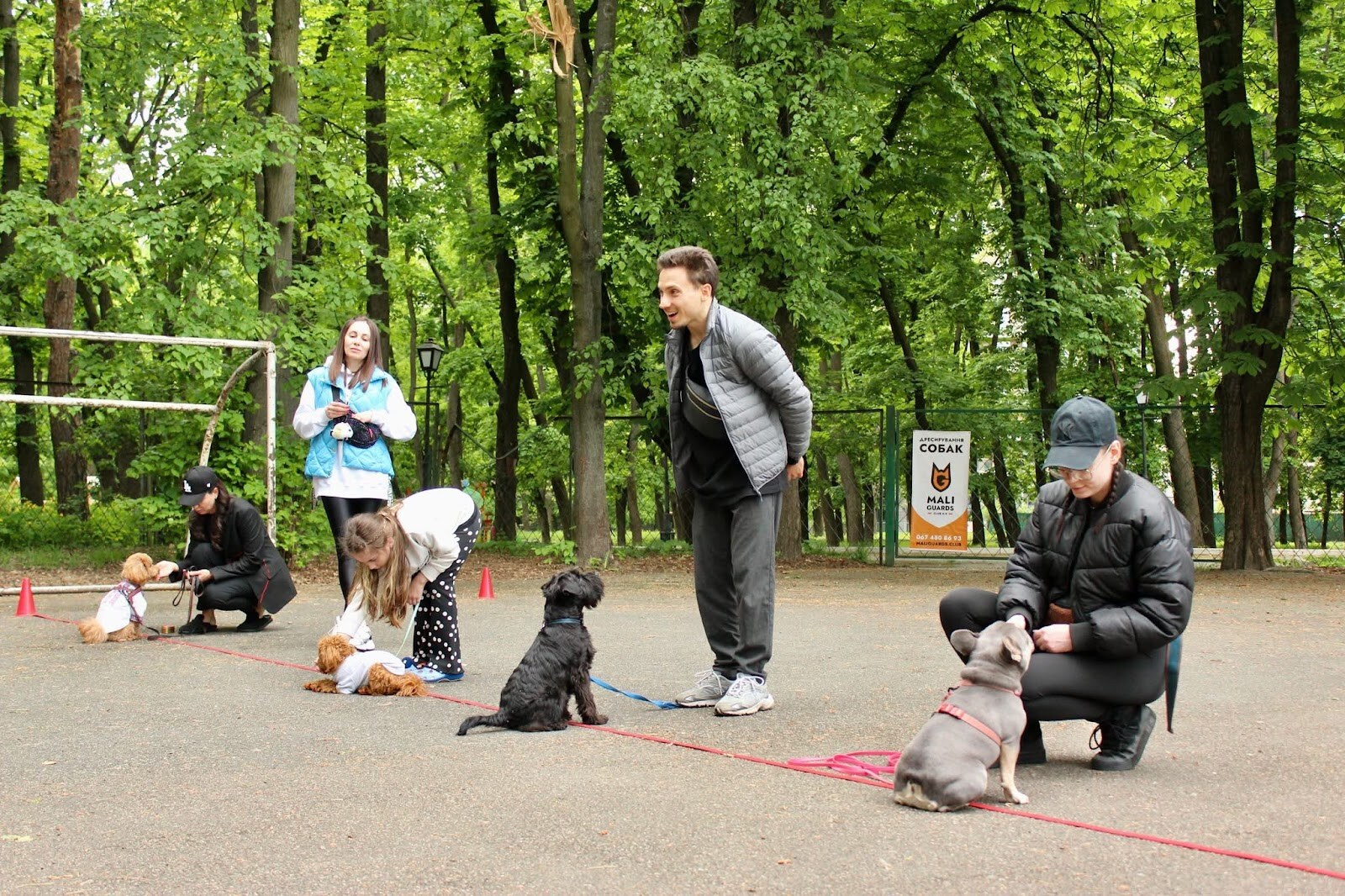 Дресирування собак MaliGuards Club K9