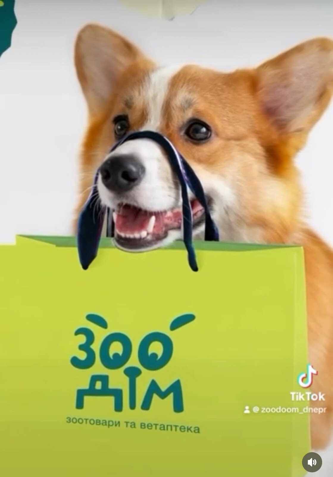 ЗооДім