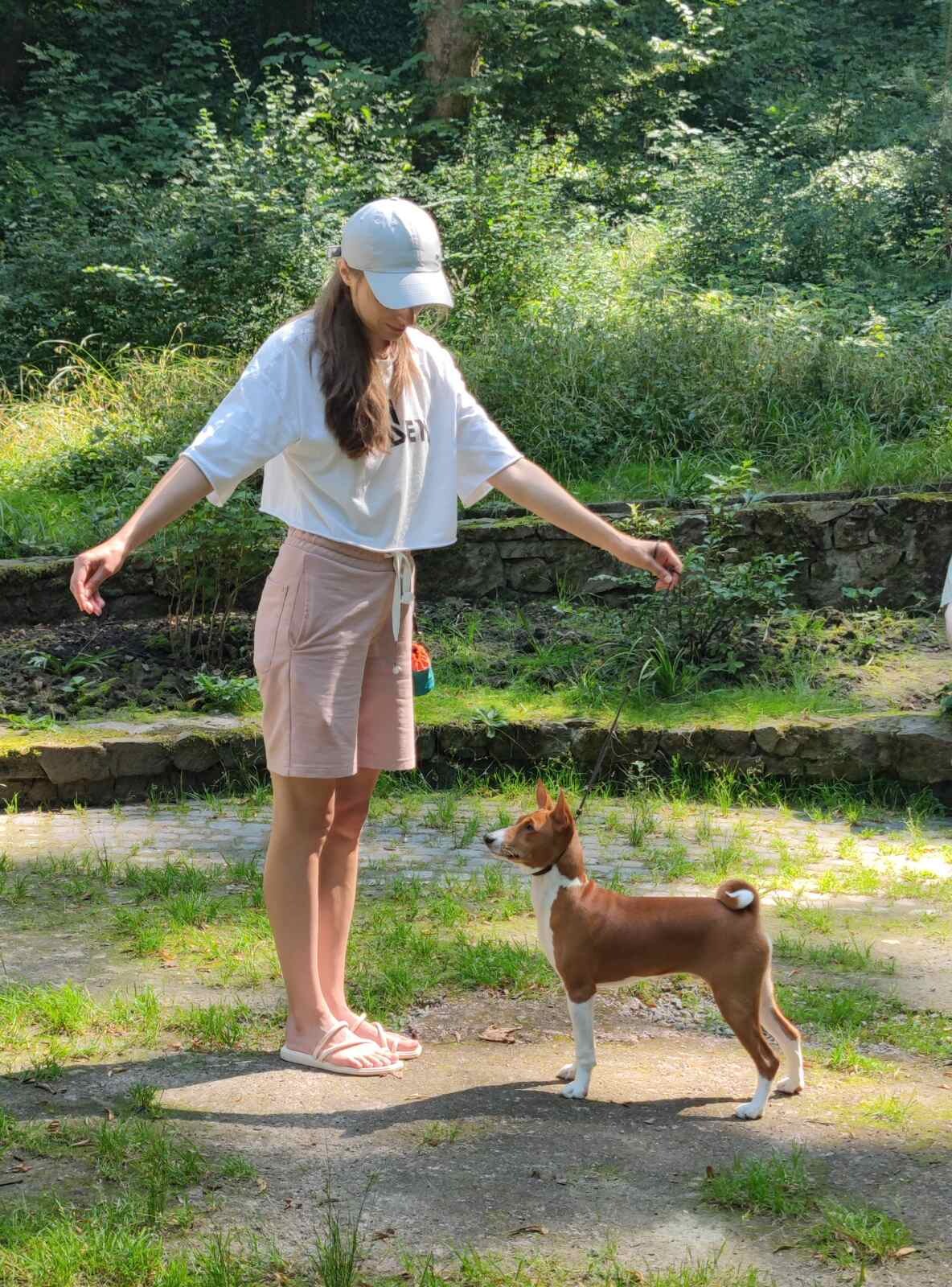Harmonic Dog