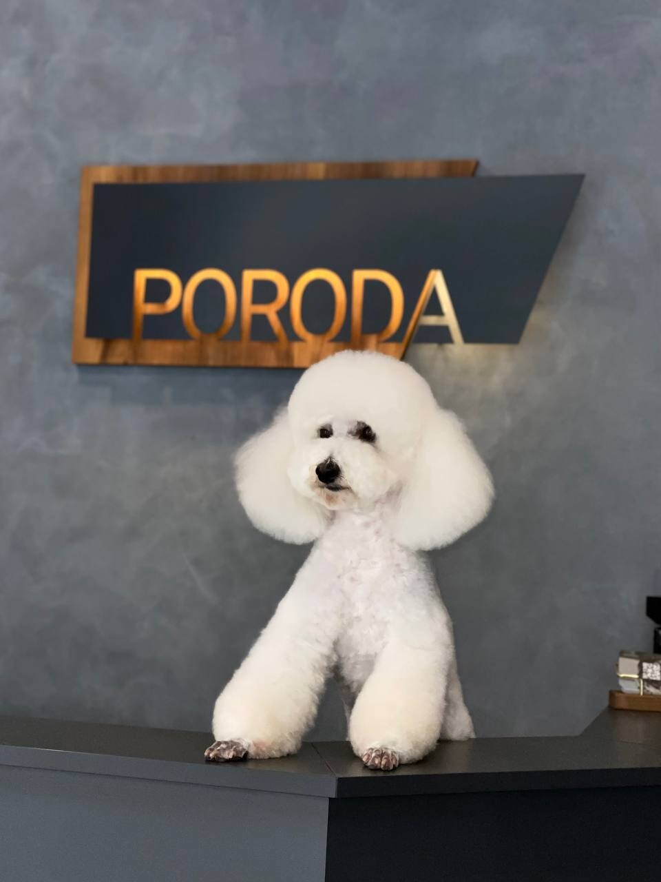 Poroda - grooming salon