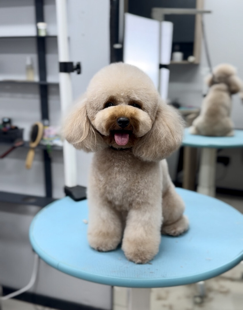 Poroda - grooming salon