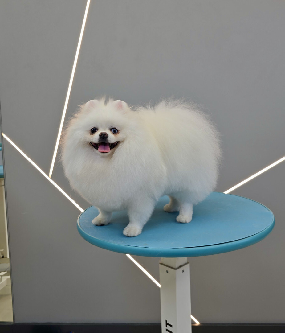 Poroda - grooming salon