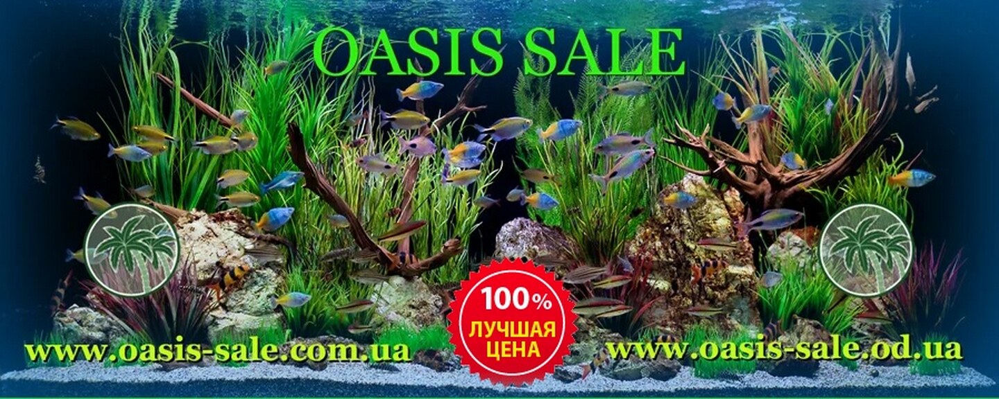 Oasis Sale