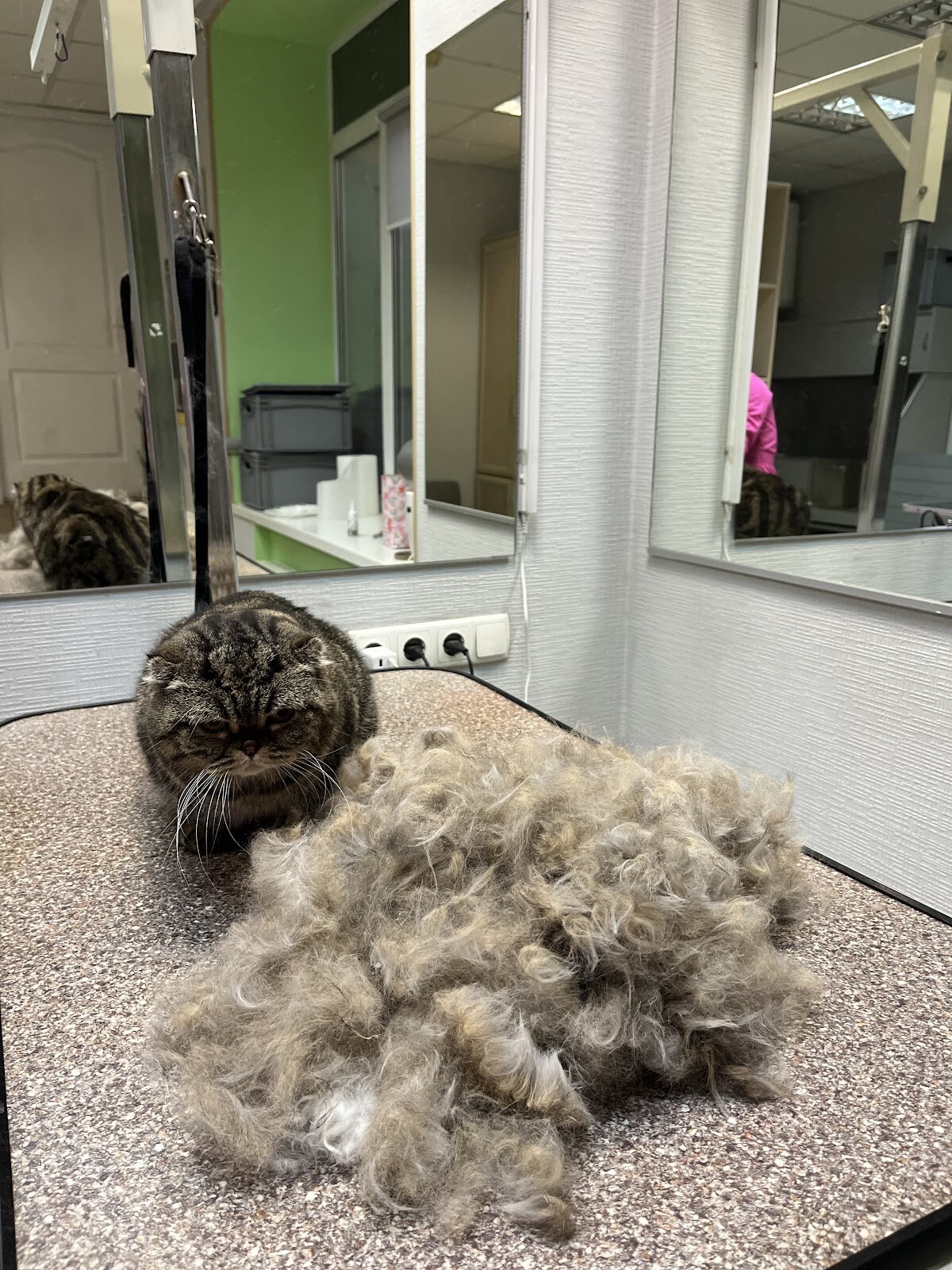 Original Grooming