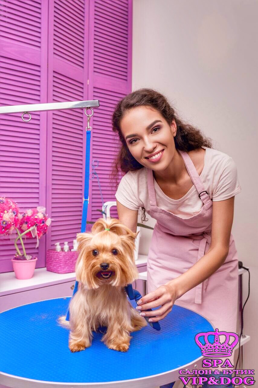 Spa Салон & Бутик Vip & Dog для животных
