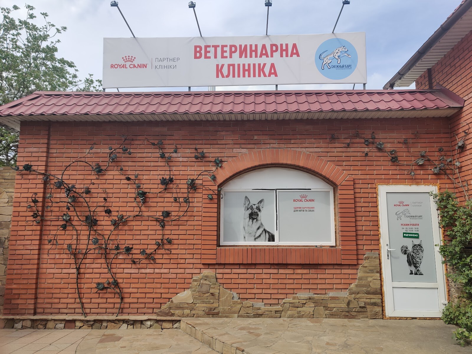 Ветеринарна клініка «Сніжний Барс»