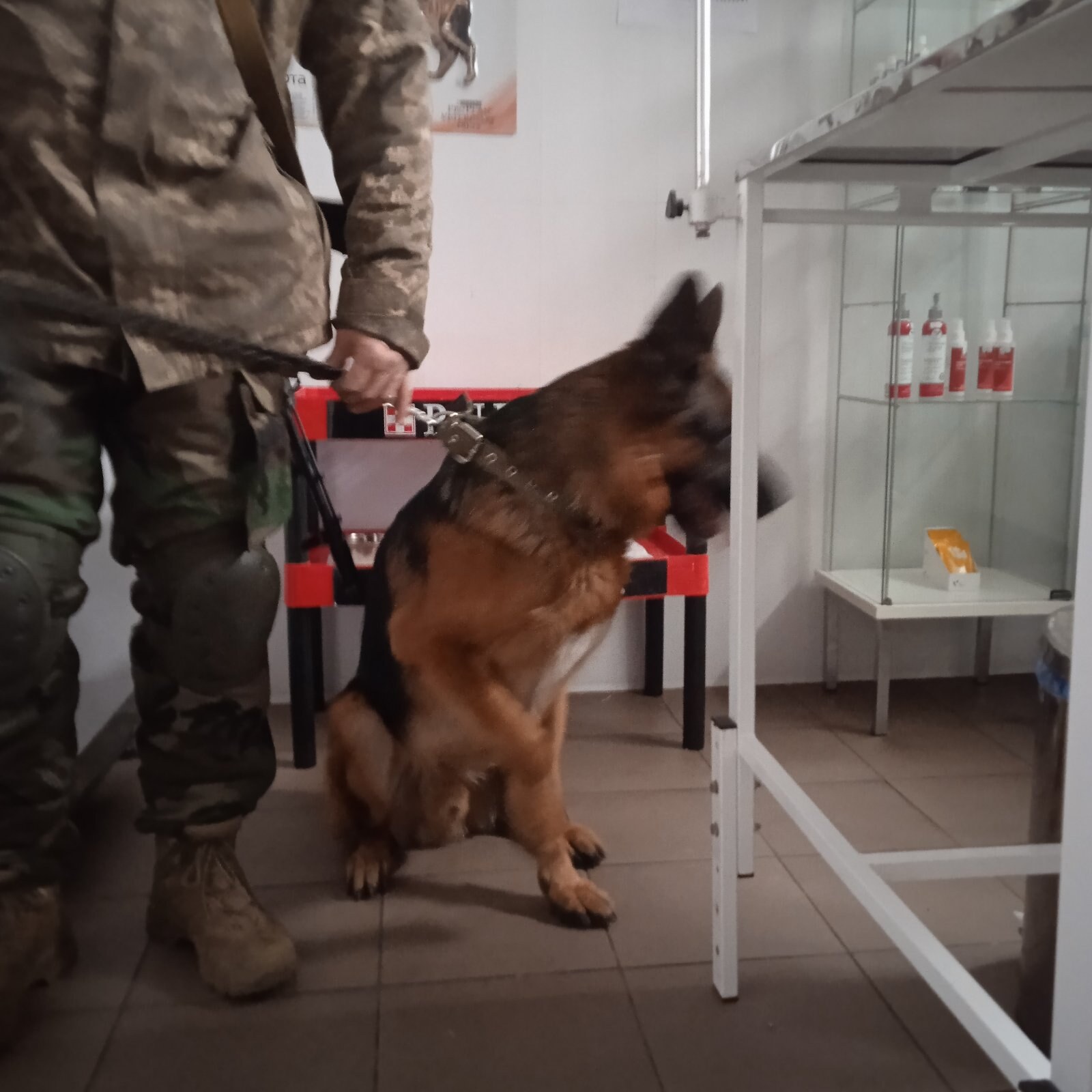 Ветеринарна клініка «Центр сучасної ветеринарної медицини» - Борщагівка