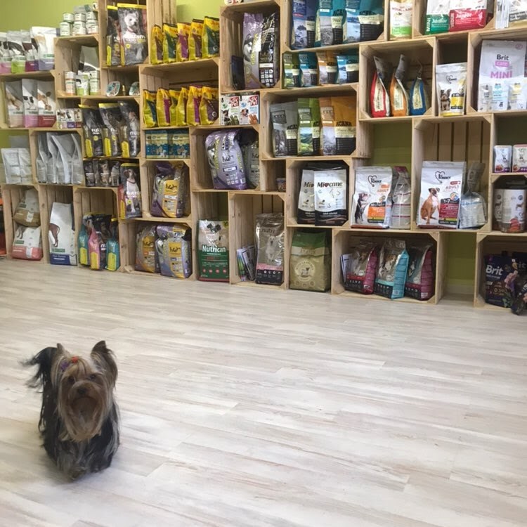 Bruno Groom Studio грумінг салон для тварин
