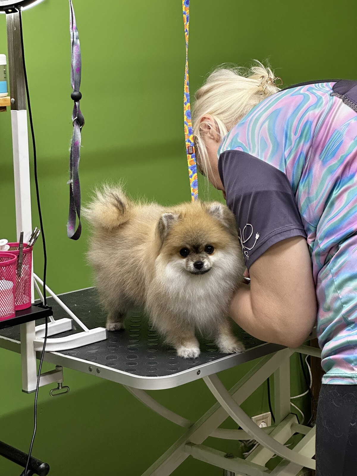 Bruno Groom Studio грумінг салон для тварин