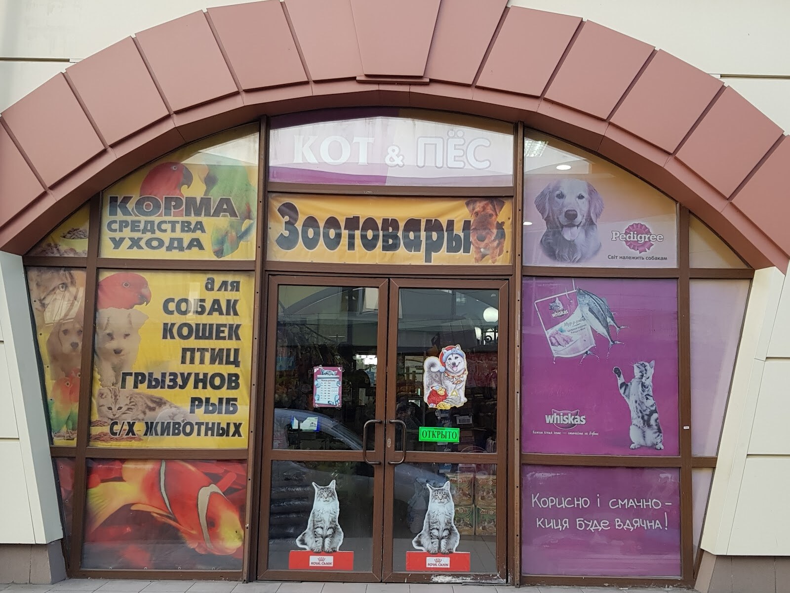 Кіт І Пес