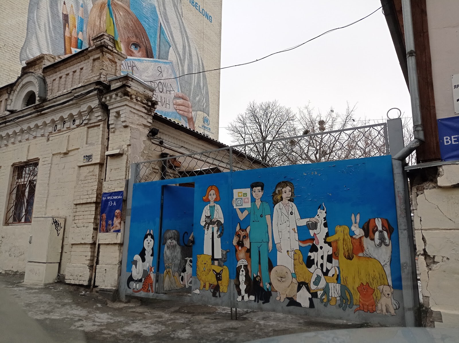Київська міська лікарня ветеринарної медицини