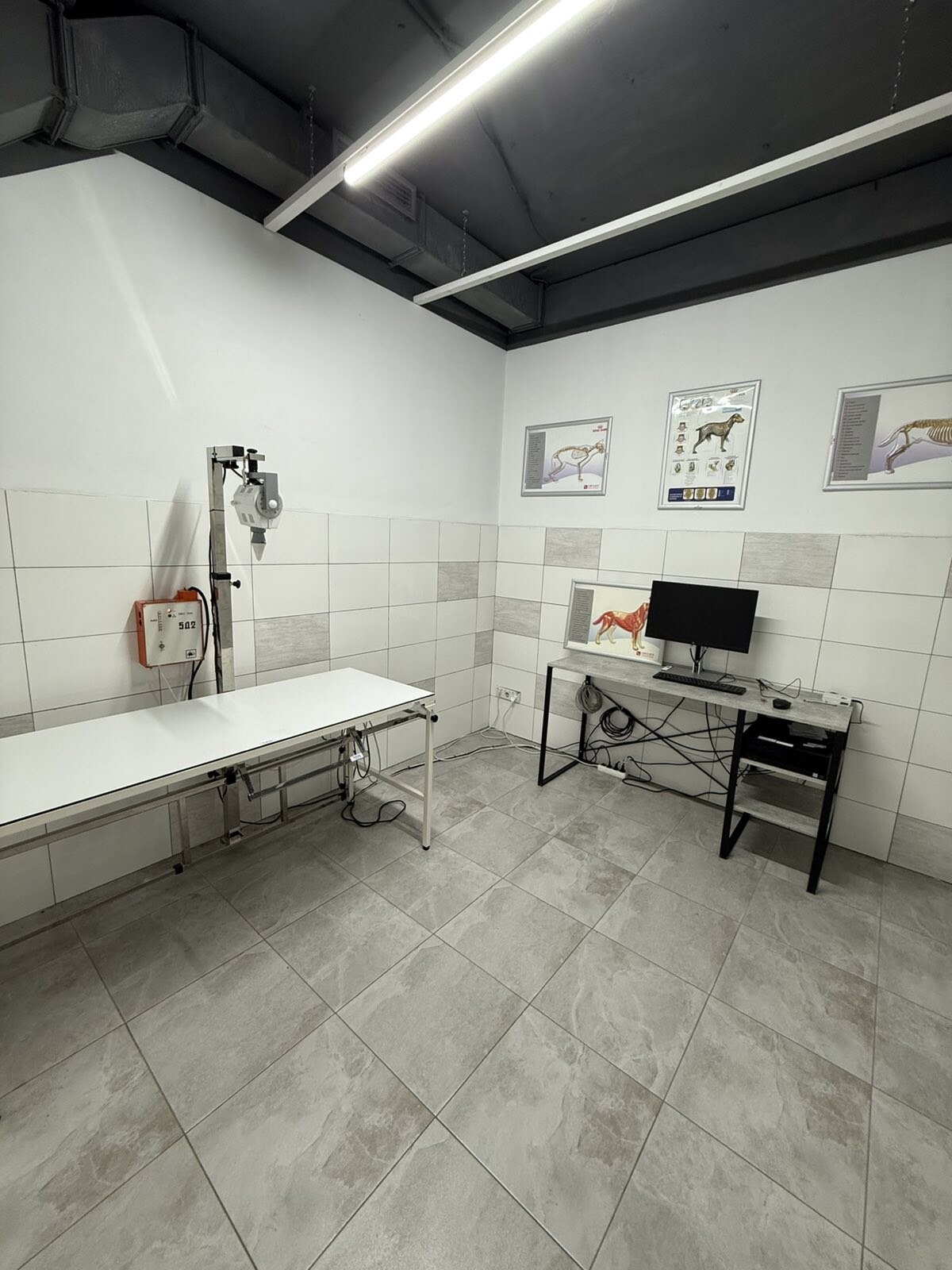Animal Hospital