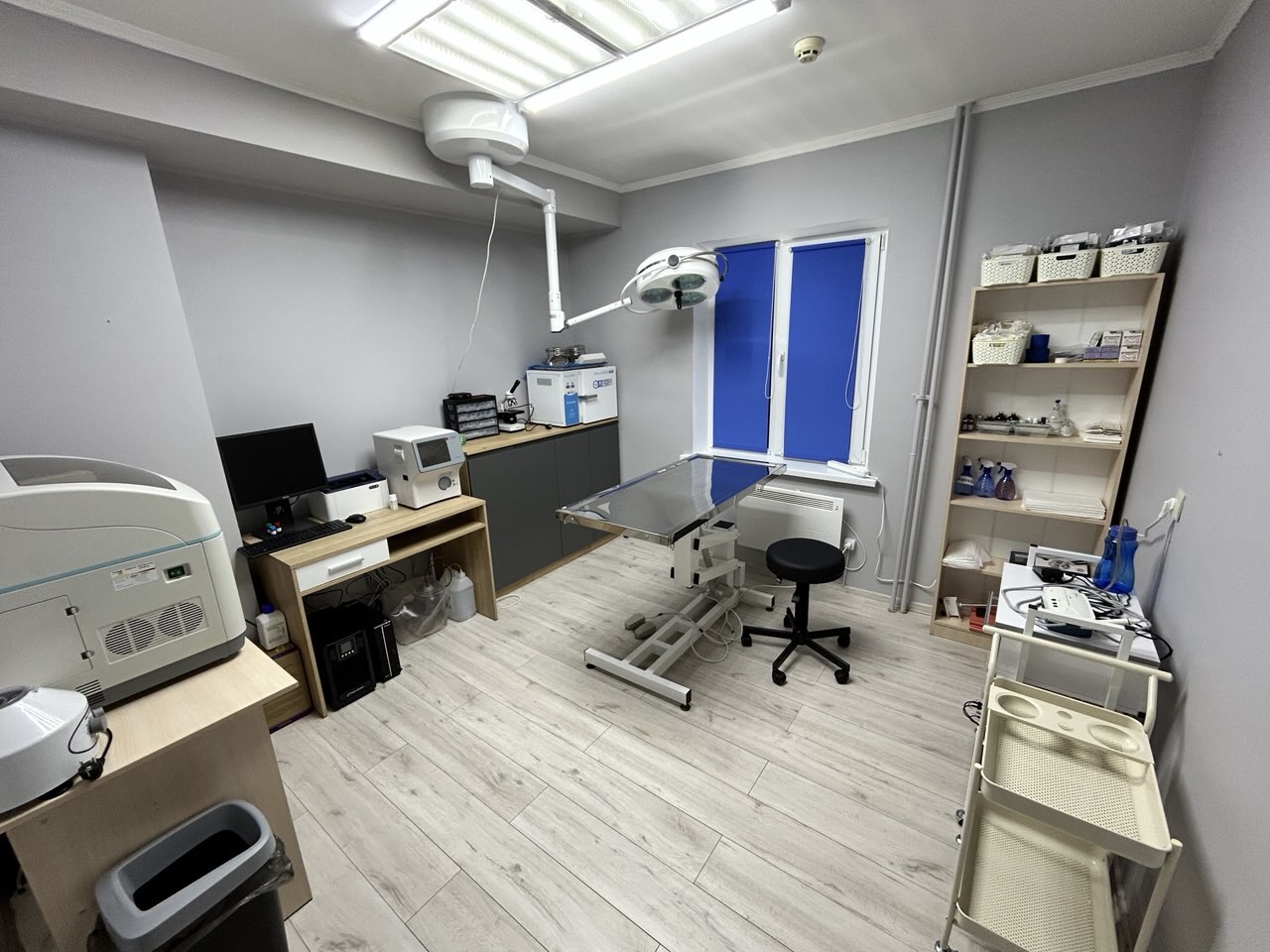 Ветеринарна клініка VET & PAW