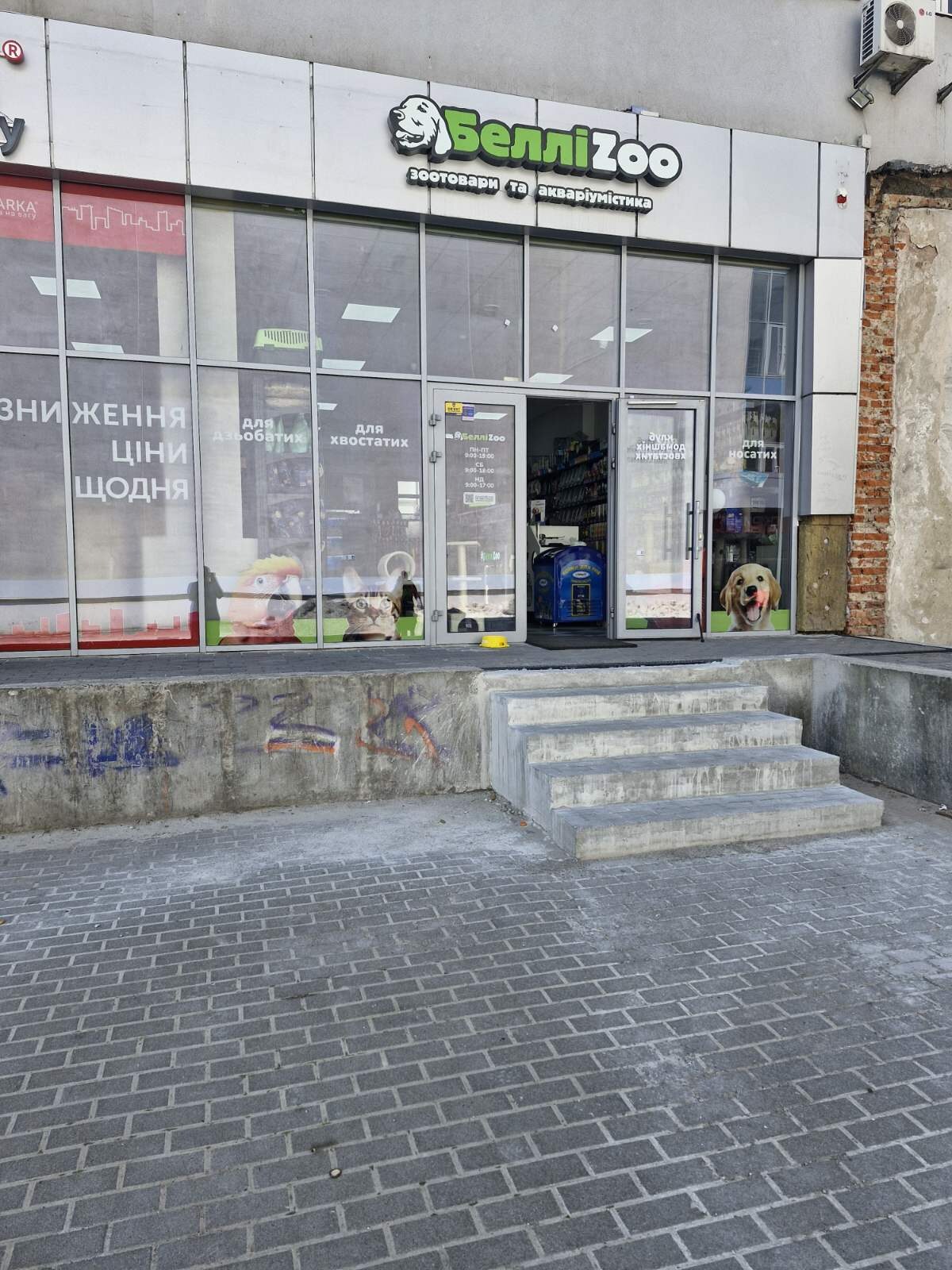 БелліZoo